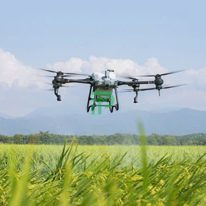 phuong-phap-su-dung-phan-thuoc-tru-sau-cho-cay-lua