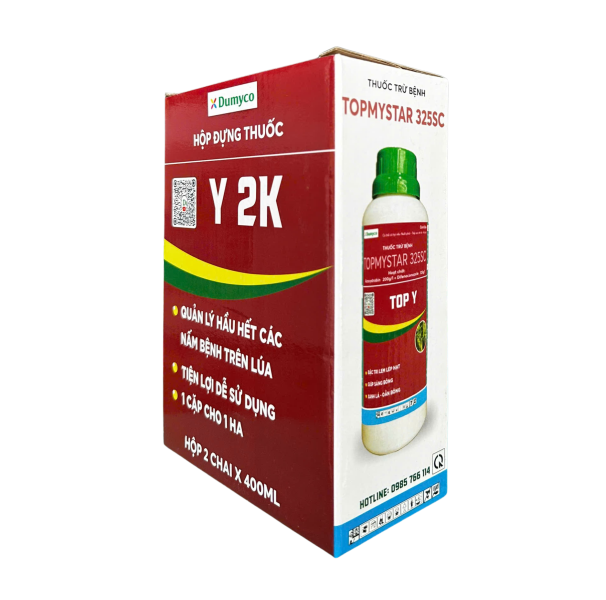 Y 2K