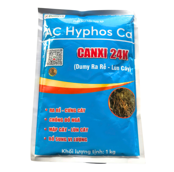 CANXI 24K