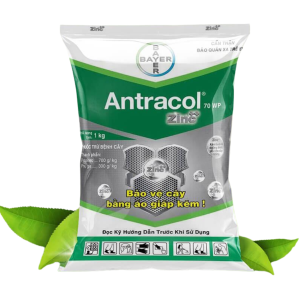 ANTRACOL 70WP