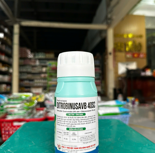  trừ bệnh cây trồng DitrobinusaVB 40SC