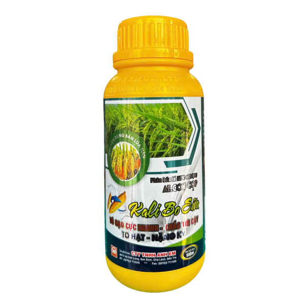 KALI BO SỮA