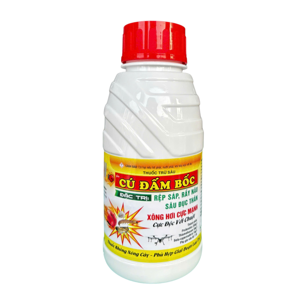 CÚ ĐẤM BỐC