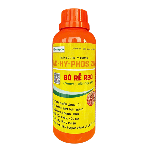 BÓ RỄ R20
