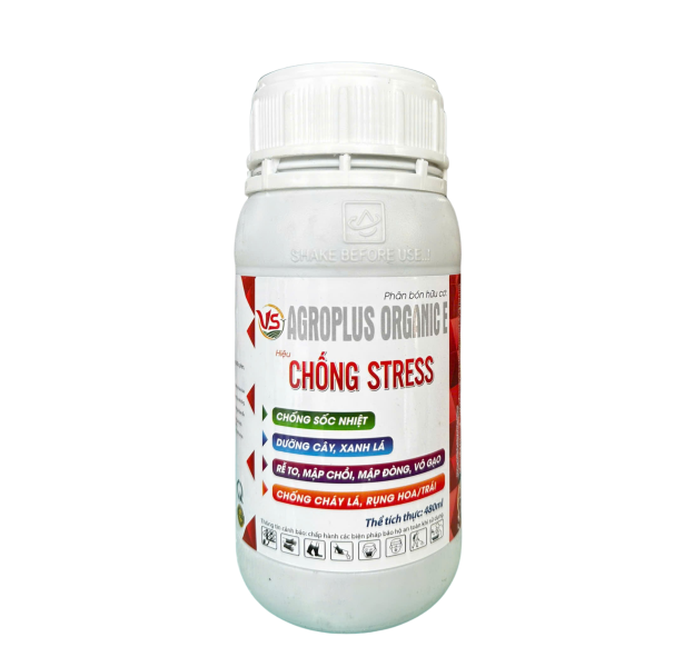 CHỐNG STRESS VS