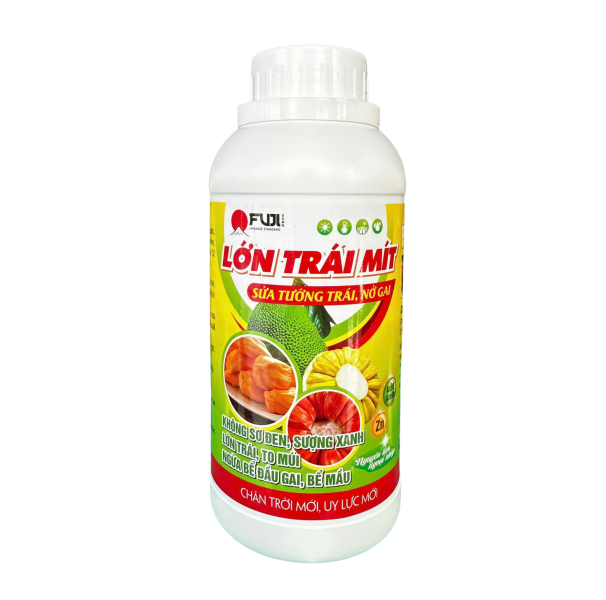 LỚN TRÁI MÍT