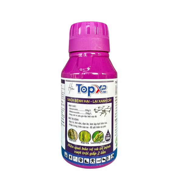 TOP X2