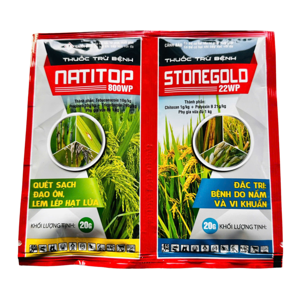 NATITOP + STONEGOLD