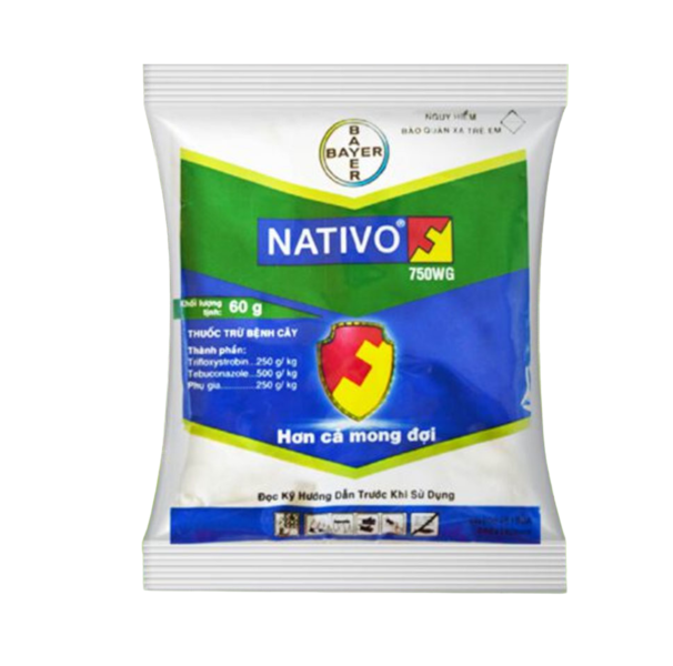 NATIVO