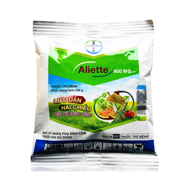 ALIETTE 800WG